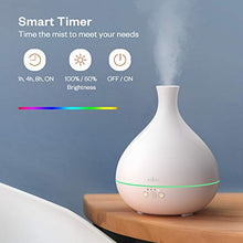 Load image into Gallery viewer, Anjou Essential Oil Diffuser