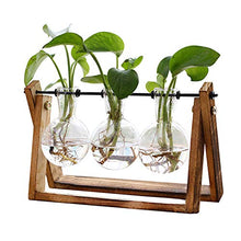 Load image into Gallery viewer, Plant Terrarium with Wooden Stand