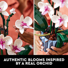 Load image into Gallery viewer, LEGO Icons Orchid | Artificial Plant Building Set with Flowers