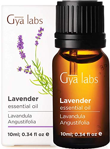 Gya Labs Pure English Lavender Oil Essential Oil for Diffuser- Lavender Oil  Essential Oils for Skin - Lavender Essential Oil for Hair (0.34 Fl Oz)