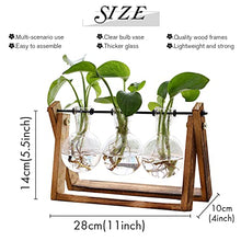 Load image into Gallery viewer, Plant Terrarium with Wooden Stand