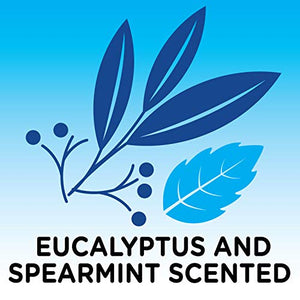 Epsom Salt Soaking Aid, Eucalyptus Scented, 3 Pound